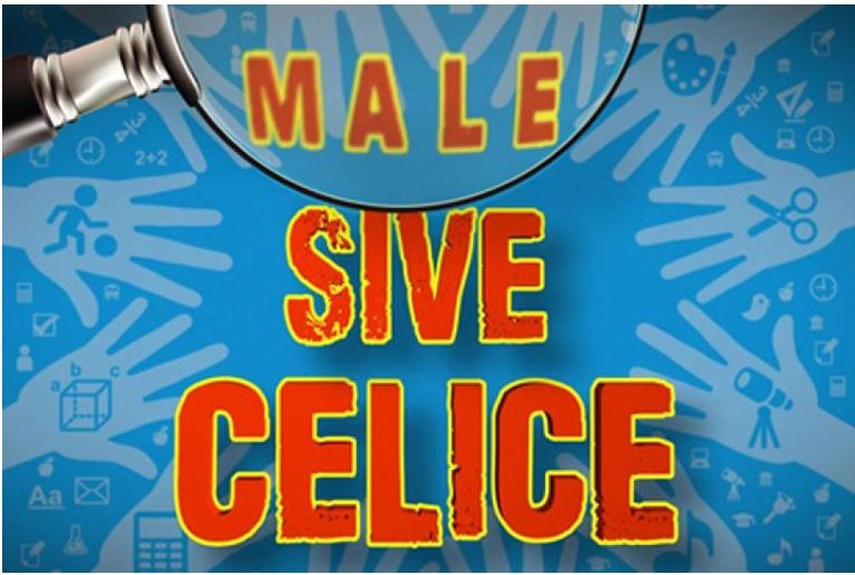 Kviz Male sive celice